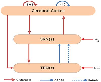 Eliminating Absence Seizures through the Deep Brain Stimulation to Thalamus Reticular Nucleus